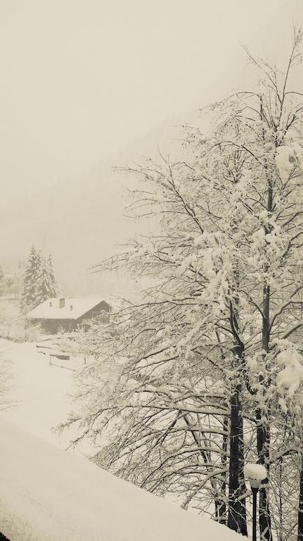 Residence Casa Dei Fiori Alagna Valsesia Zewnętrze zdjęcie