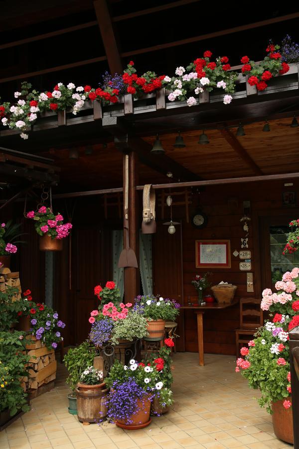 Residence Casa Dei Fiori Alagna Valsesia Zewnętrze zdjęcie