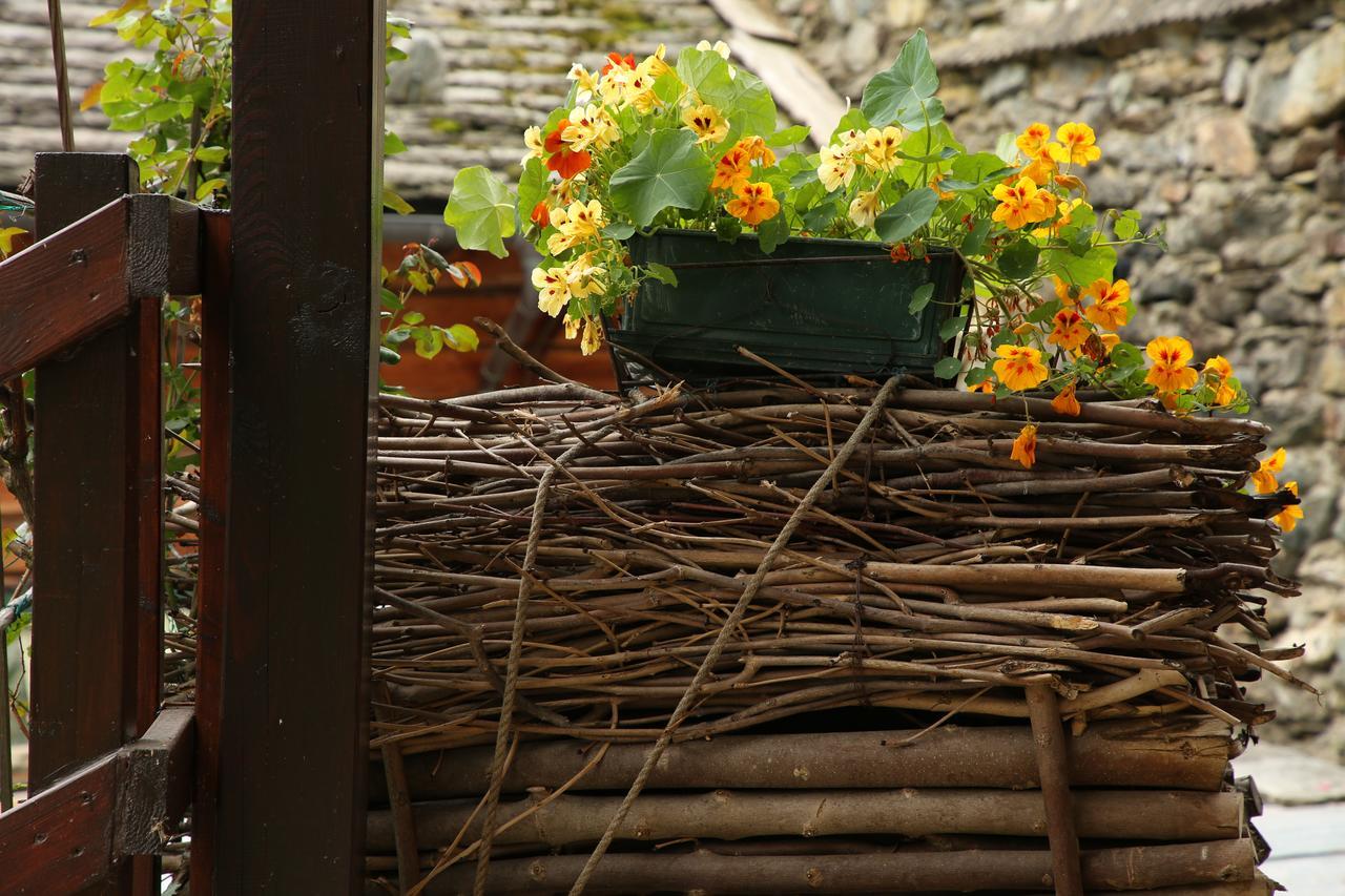 Residence Casa Dei Fiori Alagna Valsesia Zewnętrze zdjęcie